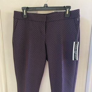 NWT Columnist by Express